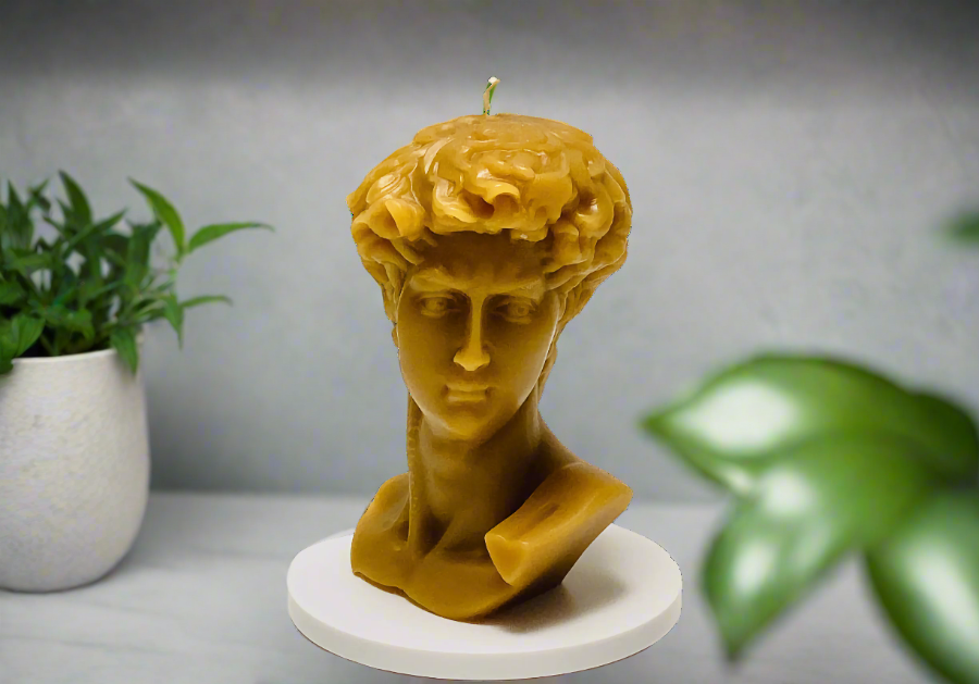 Michael Angelo's David in pure beeswax