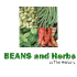 Beans and herbs logo