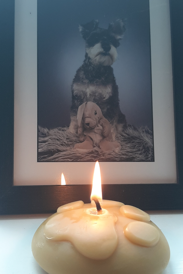 Paw print candle with a framed picture of a dog in the background