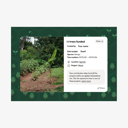 Details of tree funding on ecologi