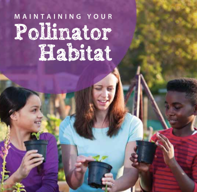 Maintaining a pollinator habitat